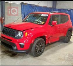 جيب رينيجيد